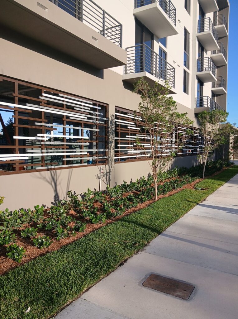 Oasis Aventura Landscaping
